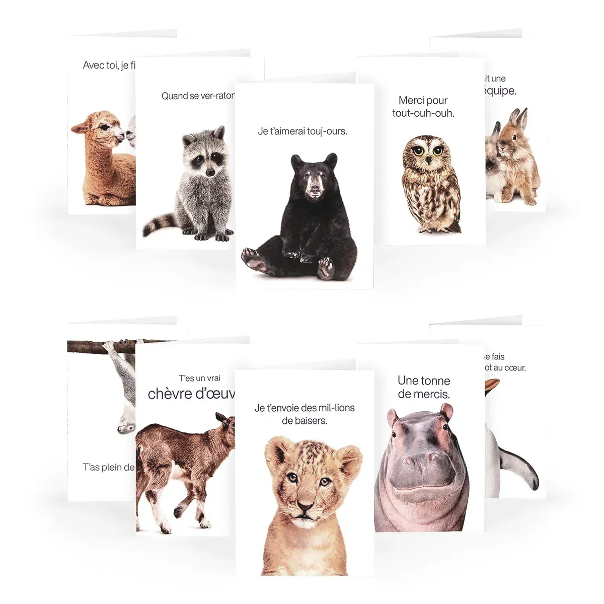 Greeting Cards: 10 Pack (French)